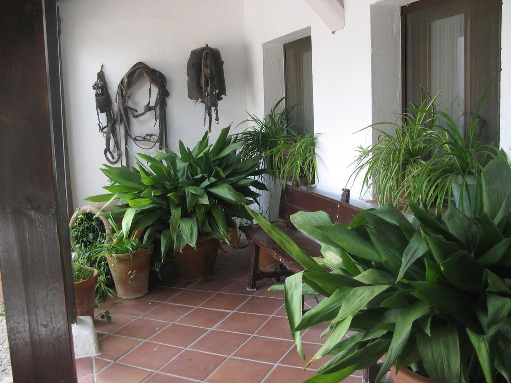 Hotel El Puerto Puerto Lápice Buitenkant foto